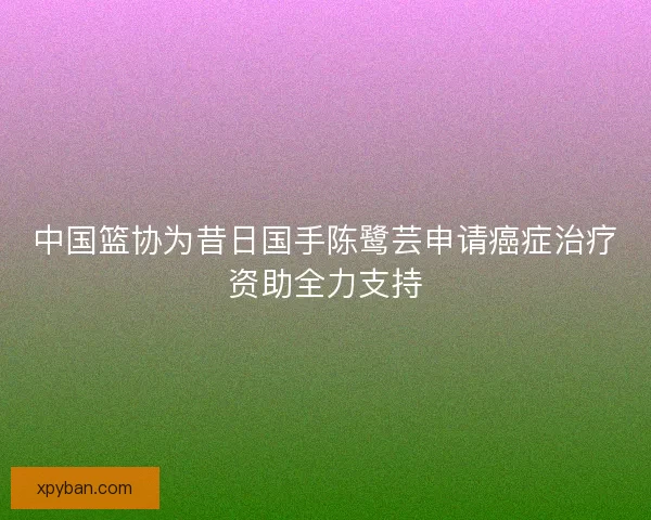 中国篮协为昔日国手陈鹭芸申请癌症治疗资助全力支持